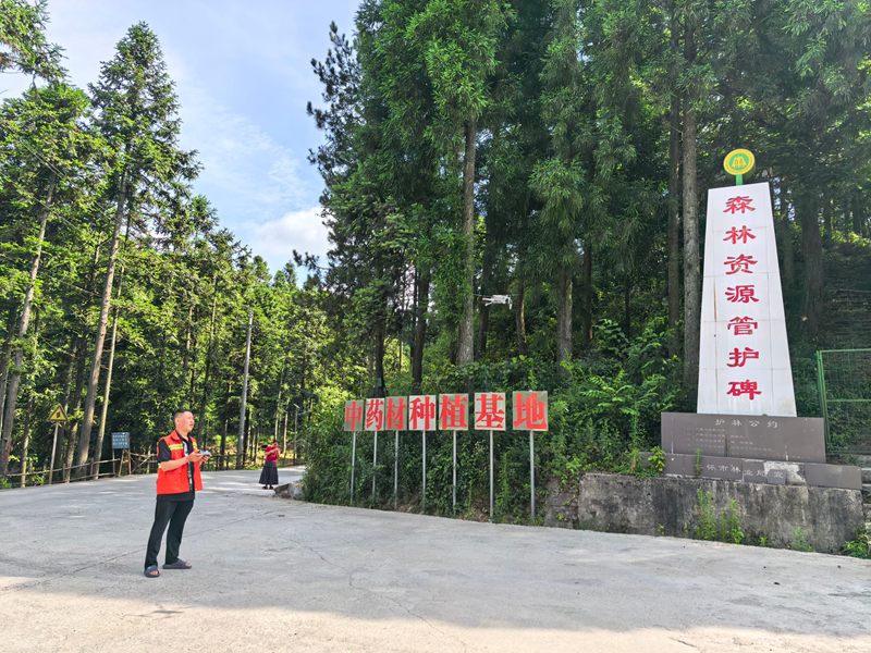 护林员操控无人机升空巡查。