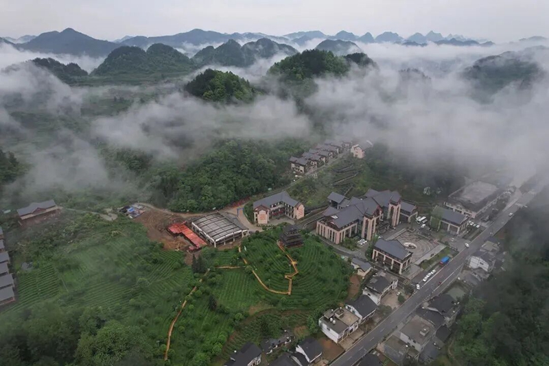 1凤冈茶寿山国家森林康养基地 梁辉波_摄.jpg