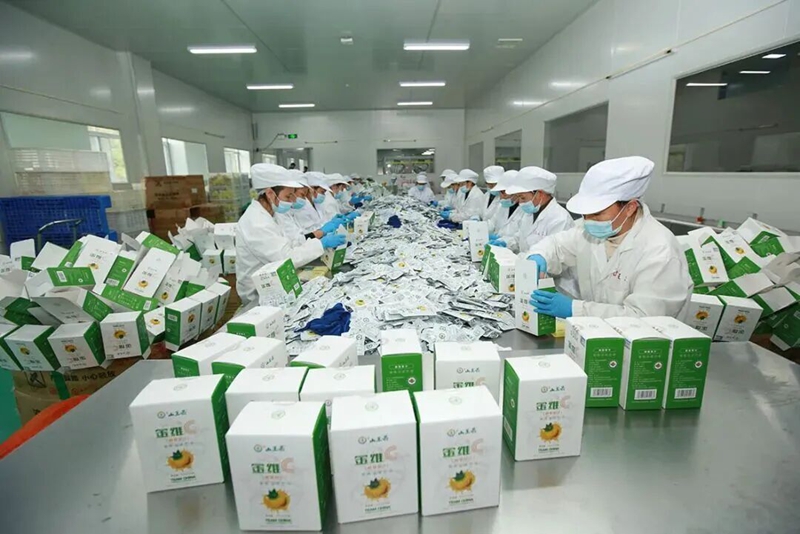 林下经济——家门口的致富路(图8)