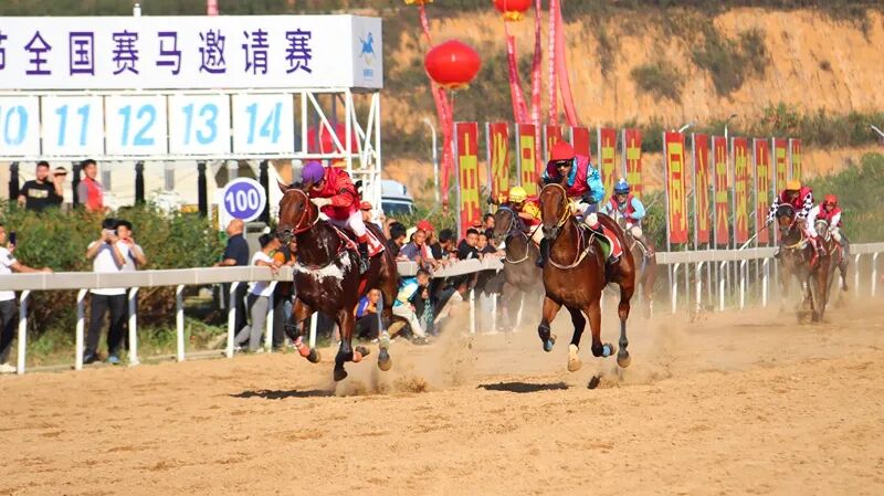 陈明珠 摄