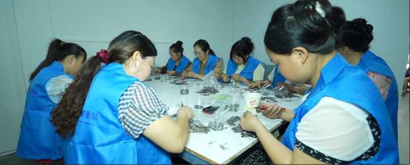 内外联动聚合力 双向服务促就业 (1)