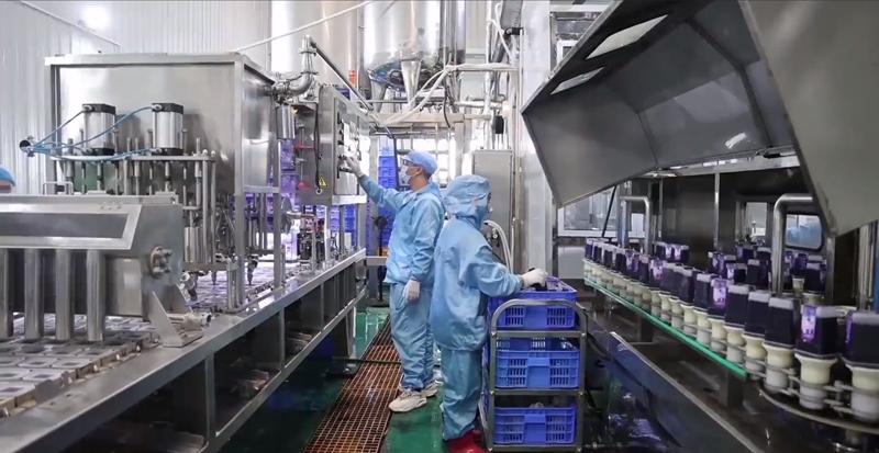 黔东南州麻江县蓝莓加工车间1