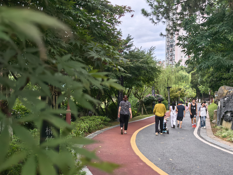 市民在楠竹林体育生态公园步道上散步、跑步。