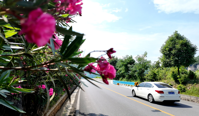 G321线公路两旁鲜花盛开。邓宇摄