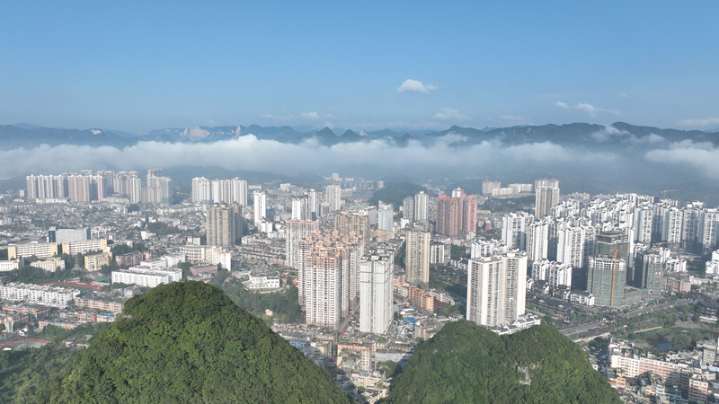 贵州织金：初秋云海现小城 清凉景致引游人。