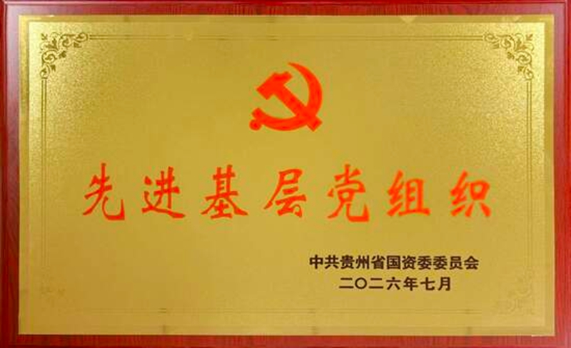 水电九局盘南项目党支部荣获“贵州省国资委系统先进基层党组织”称号。