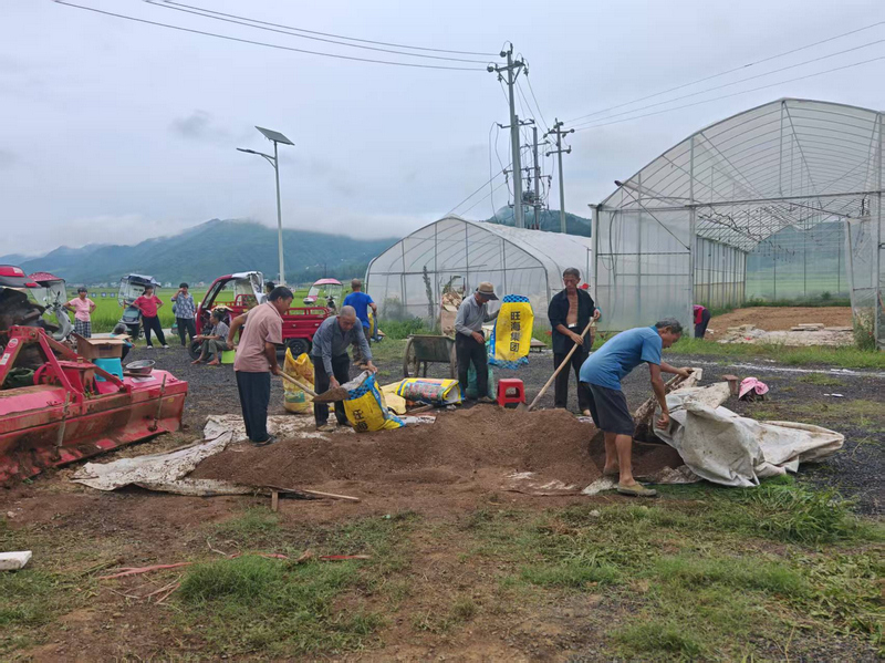 8月12日，松桃普觉镇真旗屯村反季节蔬菜育苗基地，农户挥动铁锹调配育苗营养基质土。