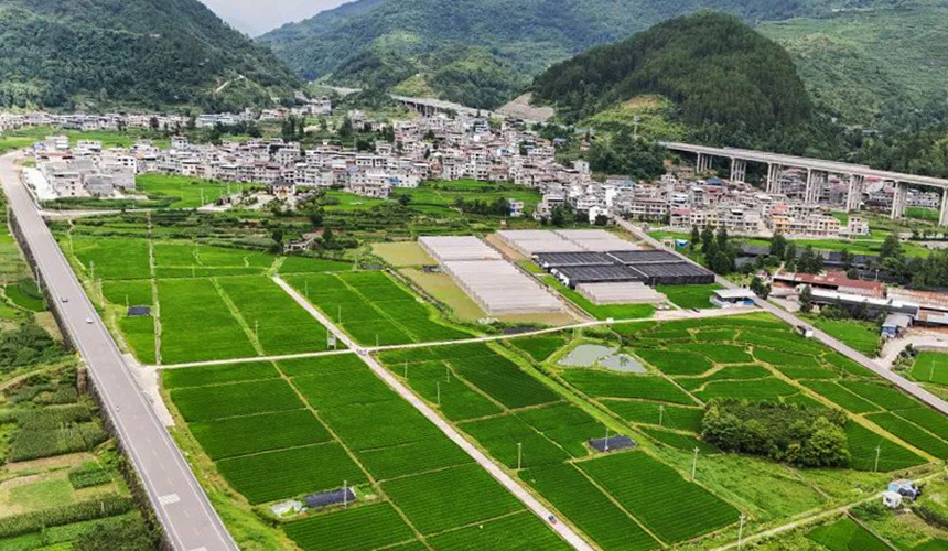 兴旺村全景图。