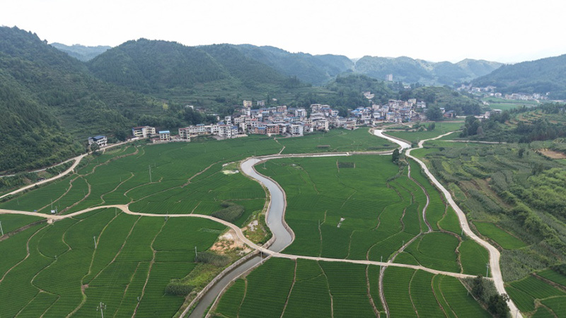岑巩县天星乡地城村。