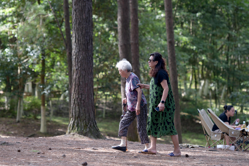 2026年8月15日,老年人在贵州省龙架山国家森林公园游玩、遛狗、休憩。