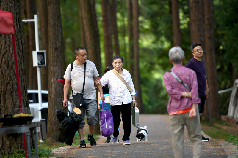 2026年8月15日,老年人在贵州省龙架山国家森林公园游玩、遛狗、休憩。