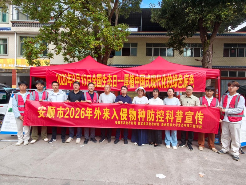 4活动现场