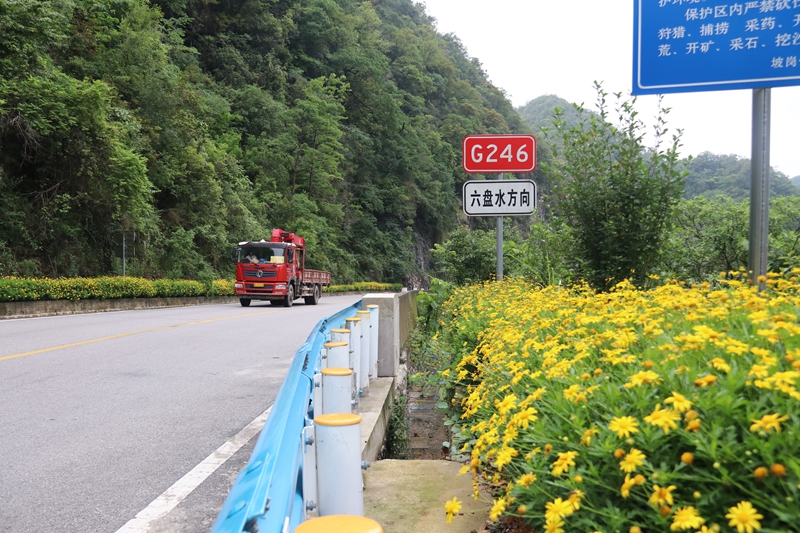 5 图为G246线鲜花盛开 李雪花 摄.jpg