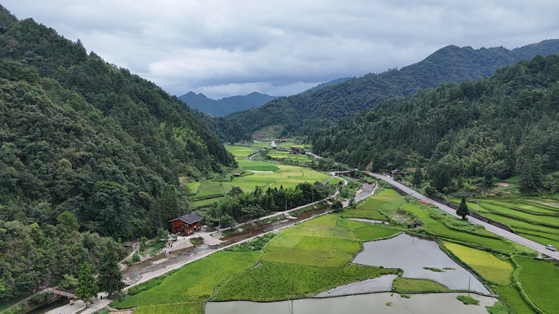 童梦田园航拍图。 吴麟钦 摄