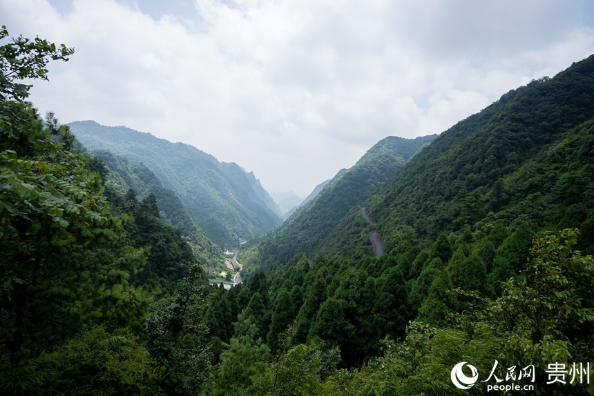 在小尖山战斗遗址上，远看连绵不绝的大娄山脉。人民网记者 涂敏摄