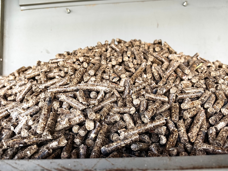 生物质颗粒燃料（何敏摄）.jpg