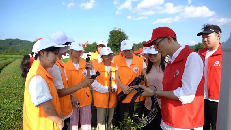1、数智黔行OPC实践团在湄潭茶园里调研。