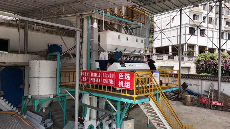 沙灘糧站色選機組調試