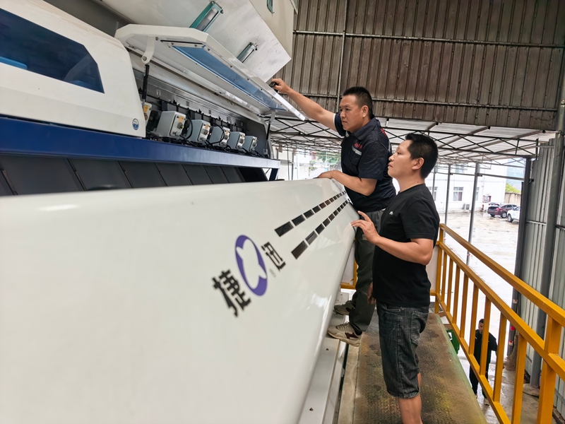 合馬糧站色選機組調試