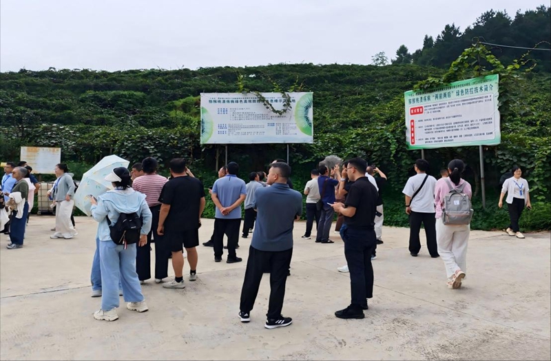 参会代表参观考察贵州中康农业猕猴桃示范园区。贵州大学农学院供图