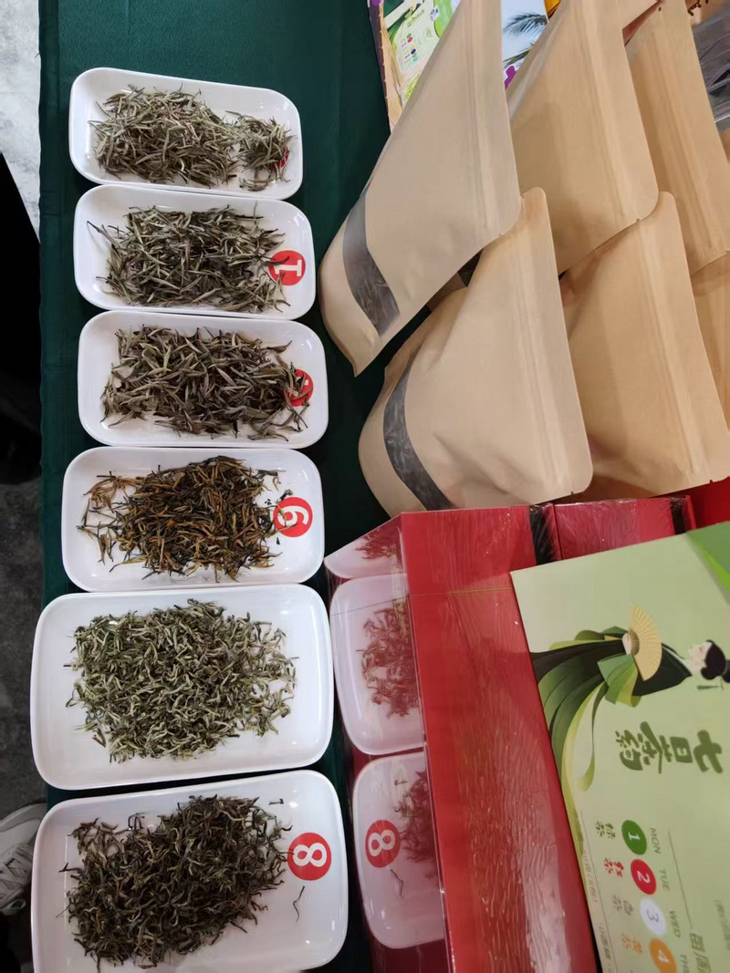 現場品鑒茶類。田茂瑜攝