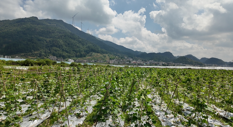 露天基地 彭垚 摄.jpg
