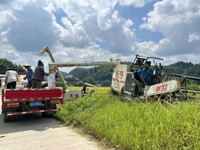 跨区联动破难题，农机互助促丰收。