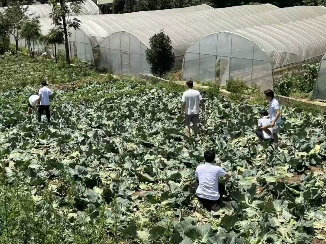 活動現場。