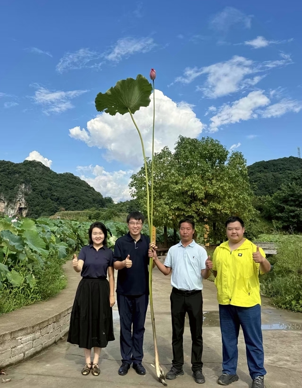 1、“最高的荷花”。普定供电局供图.jpg