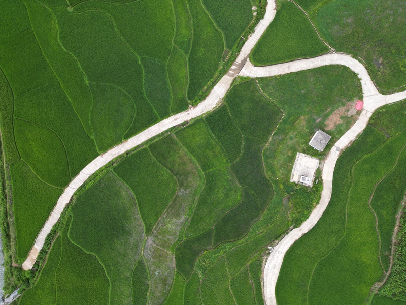 织金县牛场镇水城村稻田美景。