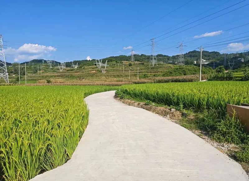 圖為:竣工的產業路.jpg