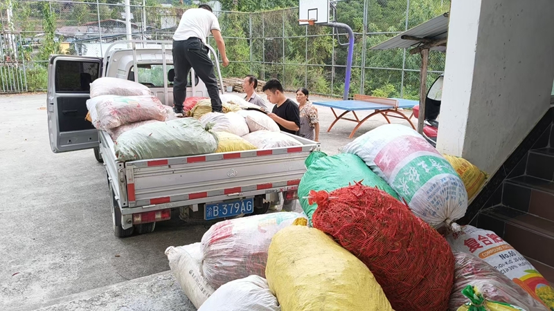 鬆桃甘龍鎮訂單辣椒採收忙,群眾增收笑開顏。