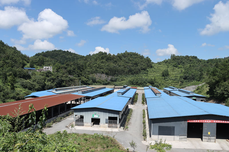 花秋興河養殖場 。王林愛攝