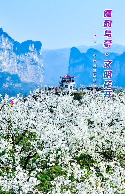 一周一图:凹河万亩樱桃园 织金县
