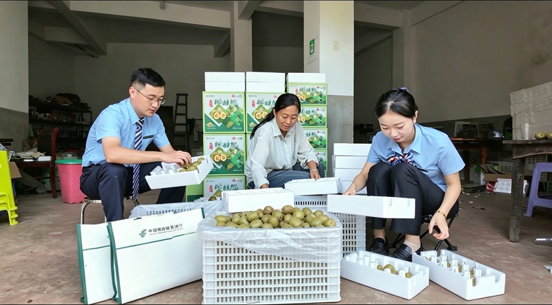 3、邮储银行工作人员在了解收成情况。