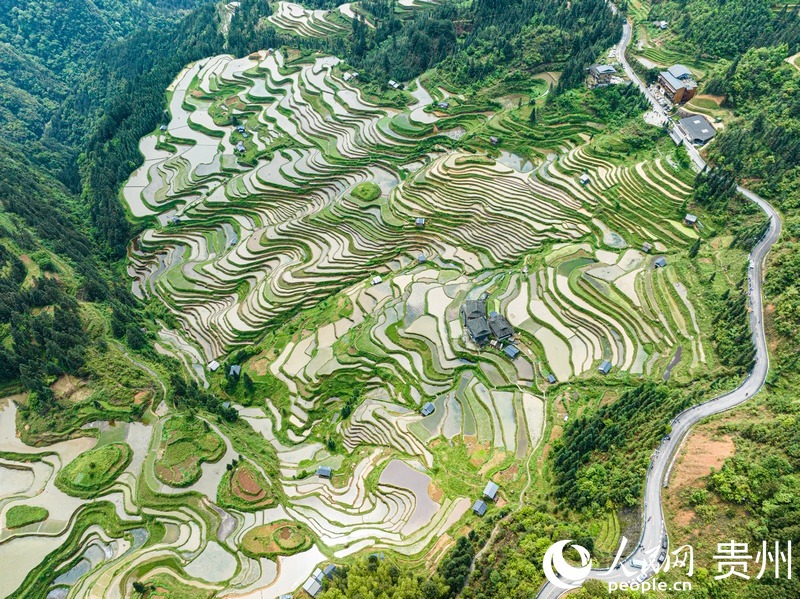 2、加榜梯田。人民网 阳茜摄