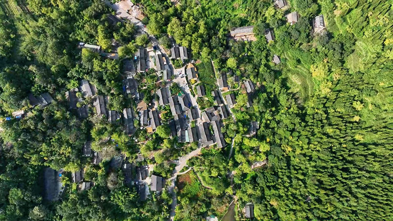 妥乐古银杏景区。