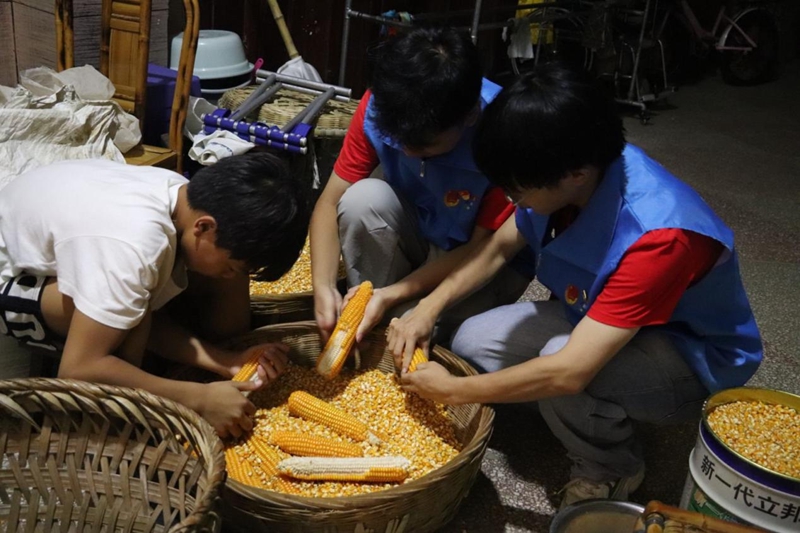 實踐團協助農戶勞作。