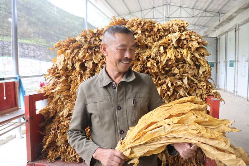 煙農沈天才。
