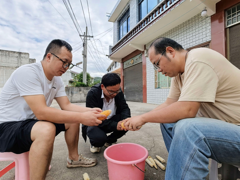 農技人員對玉米樣品進行脫粒.jpg