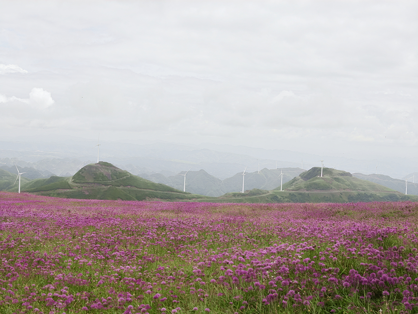 韭菜坪风景。孙春艳摄