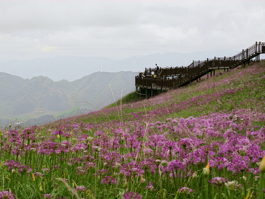 韭菜坪风景。孙春艳摄