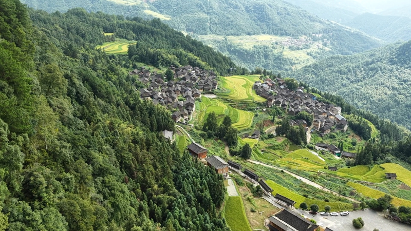 秋日稻田与村庄美景 (2).jpg