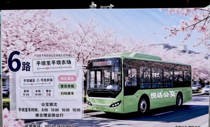 平壩兩條公交線路延伸直達景區便民出行。