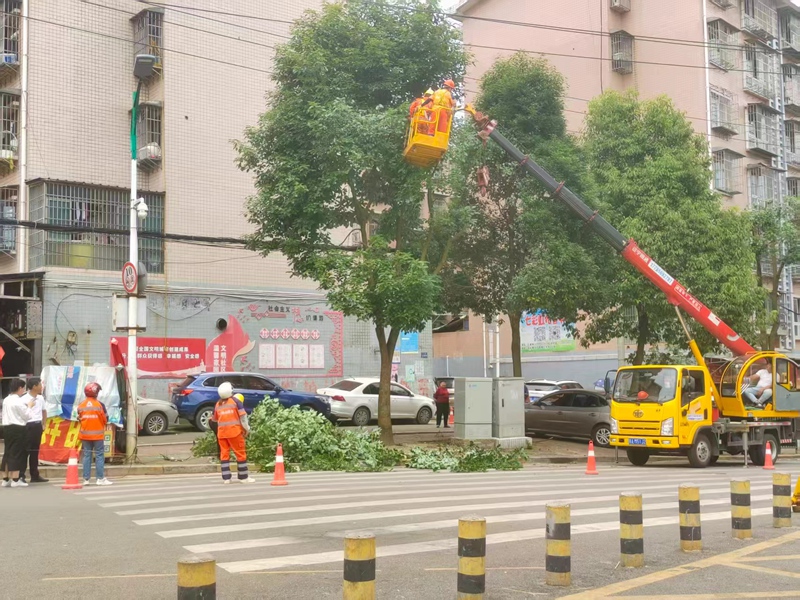 图9：对行道树进行修剪