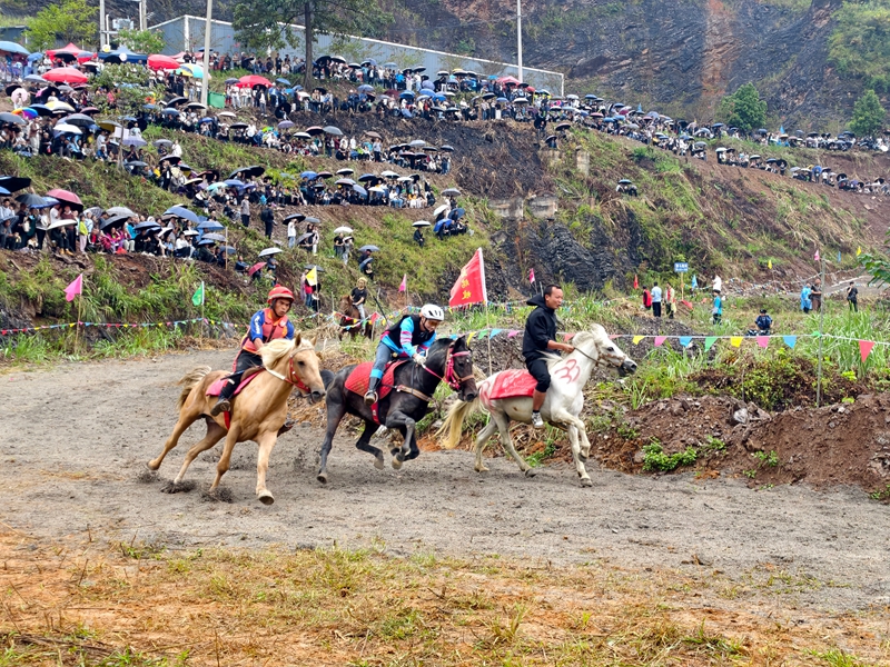 骏马飞奔.jpg