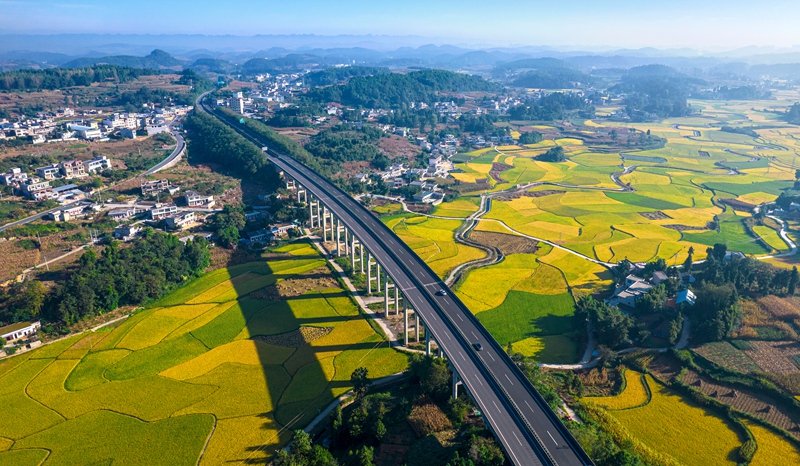9月8日，地處烏蒙山腹地的黔西市金碧鎮鏵口寨社區高標准農田稻浪翻滾，“豐”景如畫。