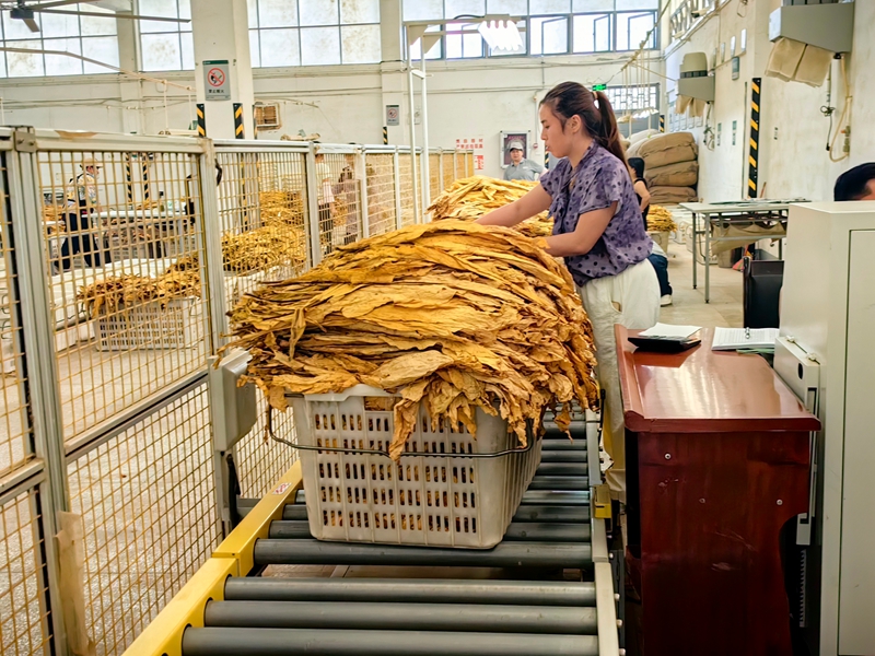 过磅（何敏摄）.jpg