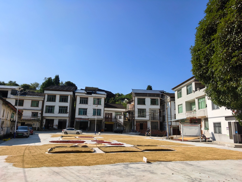 1、荔波縣小七孔鎮覺鞏村拉納組晒谷場。徐愛權攝