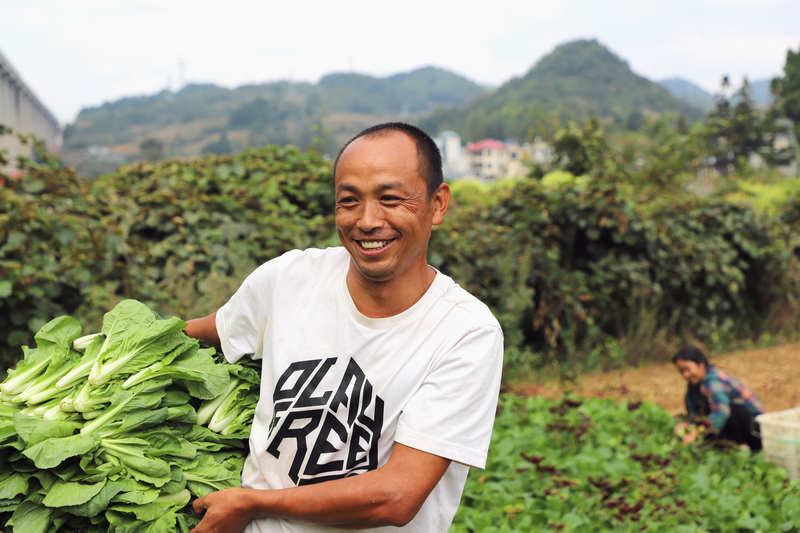 村民脸上挂着丰收的喜悦。
